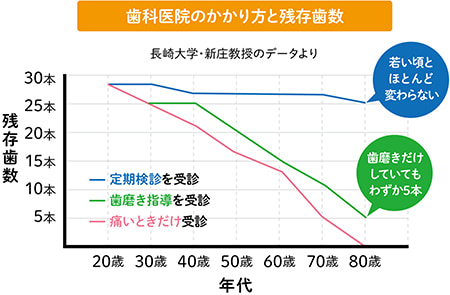 歯科医院のかかり方と残存歯数